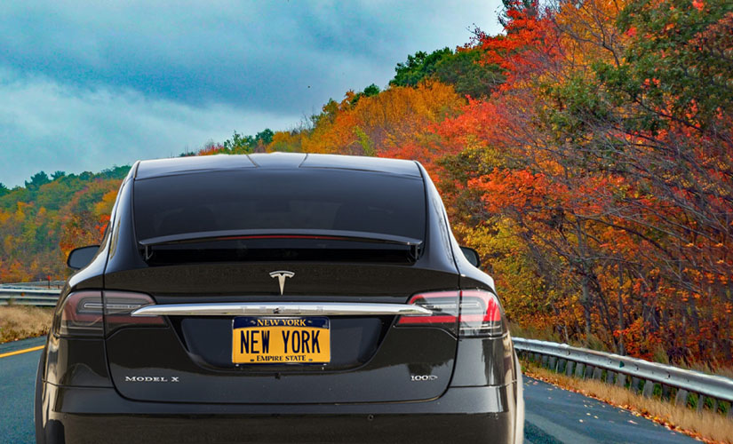 Tesla with fall foilage and new york plates