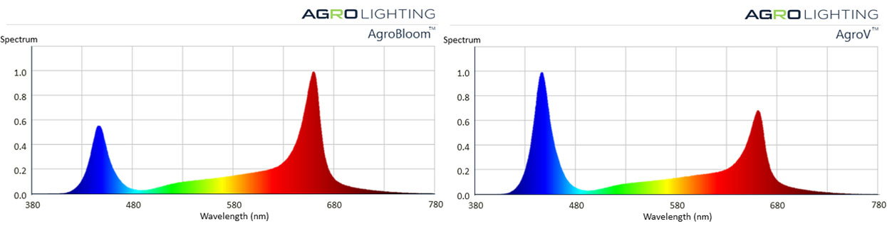 Agrolighting AgroBloom and AgroV spectrum